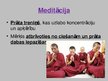 Prezentācija 'Viss par budismu', 9.