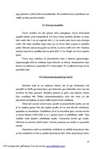 Referāts 'Būvdarbu tehnoloģija un darba drošība', 19.