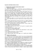 Referāts 'Ergonomika darbā ar datoru', 1.