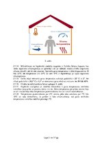 Referāts 'Ergonomika darbā ar datoru', 5.