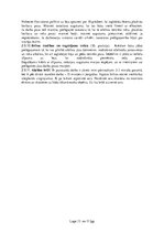 Referāts 'Ergonomika darbā ar datoru', 13.