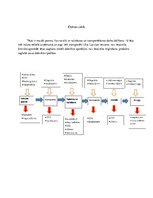 Referāts 'Vispārējais kvalitātes menedžments', 4.