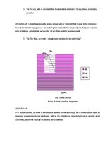 Referāts 'Jauniešu stress skolā', 21.