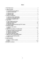 Biznesa plāns 'SIA "Olein" izveide un vadība', 2.