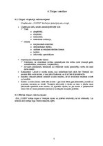 Biznesa plāns 'SIA "Olein" izveide un vadība', 6.