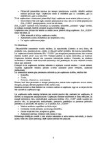 Biznesa plāns 'SIA "Olein" izveide un vadība', 9.