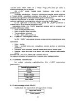 Biznesa plāns 'SIA "Olein" izveide un vadība', 11.