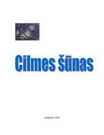 Referāts 'Cilmes šūnas', 1.