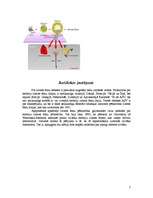 Referāts 'Cilmes šūnas', 7.