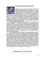 Referāts 'Cilmes šūnas', 10.