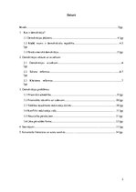 Referāts 'Demokrātijas problēmas', 3.