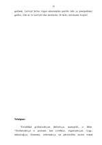 Referāts 'Globalizācija', 12.