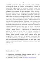 Referāts 'Globalizācija', 13.