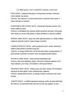 Referāts 'Personāla organizēšana', 4.