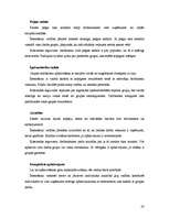 Referāts 'Personāla organizēšana', 20.