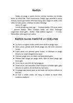 Konspekts 'Kadiķis', 1.