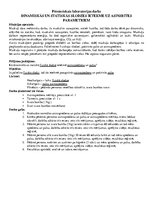 Konspekts 'Dinamiskās un statiskās slodzes ietekme uz asinsrites parametriem', 1.