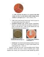 Referāts 'Ģints "streptococcus" mikroorganismu izolēšana no patoloģiskā materiāla un ident', 6.