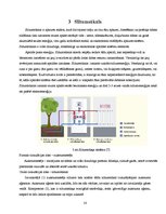 Diplomdarbs 'Individuālās dzīvojamās mājas "Randi-1" Randā apsildes sistēmas rekonstrukcijas ', 14.