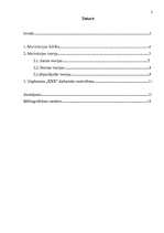 Referāts 'Darbinieku motivēšana', 2.