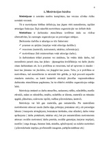 Referāts 'Darbinieku motivēšana', 4.