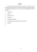 Referāts 'Motivācijas loma uzņēmumā', 4.