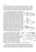 Referāts 'Hologrāfija un attēlu apstrāde', 3.
