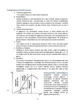 Referāts 'Hologrāfija un attēlu apstrāde', 12.