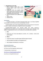 Referāts 'Hologrāfija un attēlu apstrāde', 17.