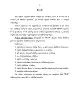 Referāts 'Ceļojumu biroja darbības analīze', 2.