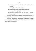 Referāts 'Ceļojumu biroja darbības analīze', 4.