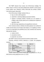 Referāts 'Ceļojumu biroja darbības analīze', 19.