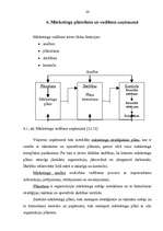 Referāts 'Ceļojumu biroja darbības analīze', 24.