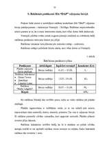 Referāts 'Ceļojumu biroja darbības analīze', 33.