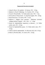 Referāts 'Ceļojumu biroja darbības analīze', 38.