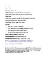 Konspekts 'Integrētā mācību prakse sākumskolā', 8.