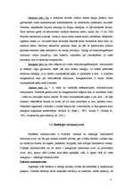 Referāts 'Radiaktīvais piesārņojums', 8.