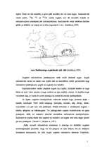 Referāts 'Radiaktīvais piesārņojums', 13.