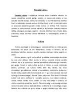 Referāts 'Tiesiskā kultūra', 2.