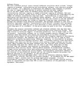 Eseja 'Computer Software Piracy', 1.