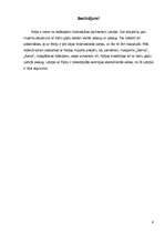 Referāts 'Polijas starptautiskās attiecības', 6.