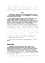 Konspekts 'Brīnumpasakas', 1.