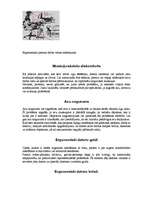 Referāts 'Ergonomika', 2.