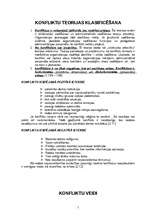 Referāts 'Konflikts', 5.