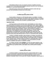 Konspekts 'Kriminālprocess', 27.