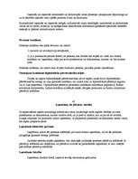 Konspekts 'Kriminālprocess', 29.