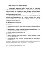 Referāts 'A/s "Latvijas Balzams" kapitāla struktūras un cenas analīze', 6.