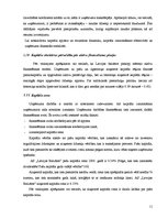 Referāts 'A/s "Latvijas Balzams" kapitāla struktūras un cenas analīze', 11.