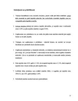 Referāts 'A/s "Latvijas Balzams" kapitāla struktūras un cenas analīze', 13.