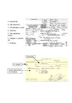 Konspekts 'Ko vēsta ārsta recepte', 8.